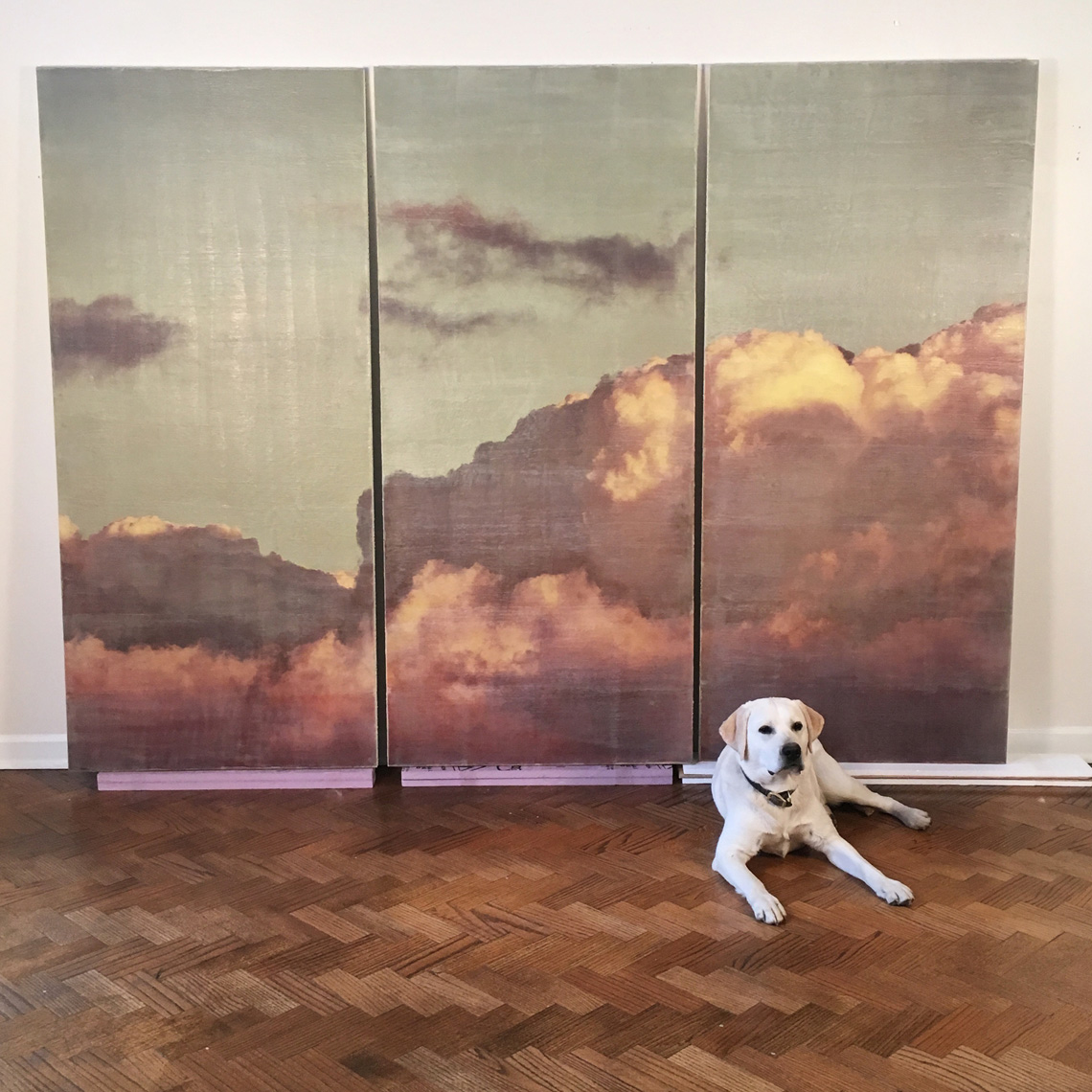 Cloud 49 triptych